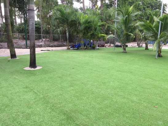 Artificial Grass Photos: Fake Lawn Copperopolis, California Landscape Ideas, Commercial Landscape