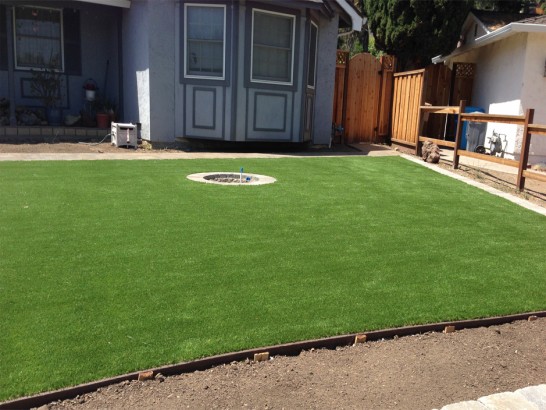 Artificial Grass Photos: Fake Lawn Cressey, California Landscaping, Beautiful Backyards