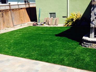 Artificial Grass Photos: Fake Lawn Ione, California Landscaping, Backyard Makeover