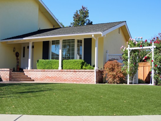 Artificial Grass Photos: Fake Lawn Lodi, California Landscape Rock, Front Yard