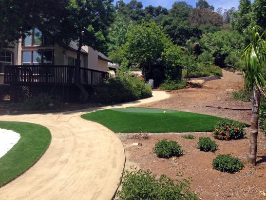 Artificial Grass Photos: Fake Lawn Manteca, California Landscape Photos, Small Front Yard Landscaping