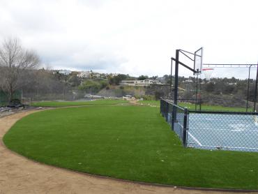 Artificial Grass Photos: Fake Lawn Menlo Park, California Gardeners, Commercial Landscape