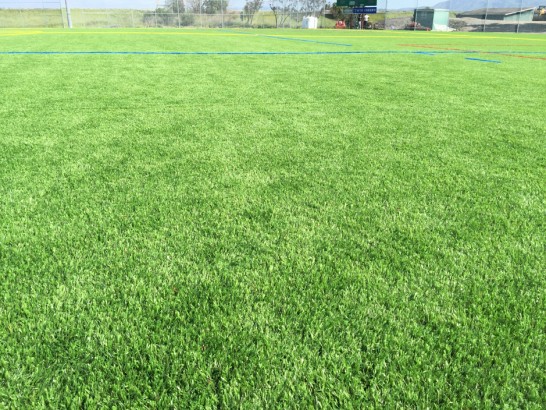 Artificial Grass Photos: Fake Lawn Napa, California Backyard Sports