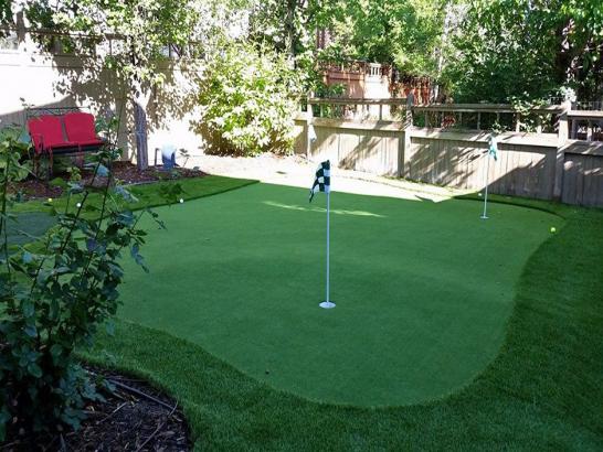 Artificial Grass Photos: Fake Lawn San Anselmo, California Putting Greens, Backyard Ideas