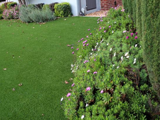 Artificial Grass Photos: Fake Lawn Sand City, California City Landscape, Landscaping Ideas For Front Yard
