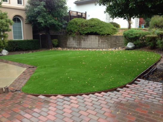 Artificial Grass Photos: Fake Lawn South San Francisco, California Backyard Playground, Landscaping Ideas For Front Yard