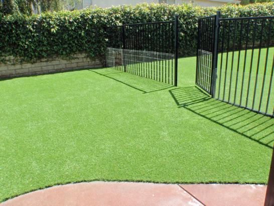 Artificial Grass Photos: Fake Lawn Stinson Beach, California Lawns, Landscaping Ideas For Front Yard