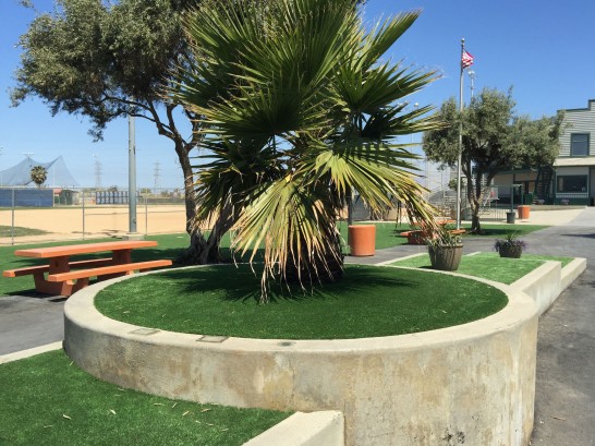 Artificial Grass Photos: Fake Lawn Tuttle, California, Commercial Landscape