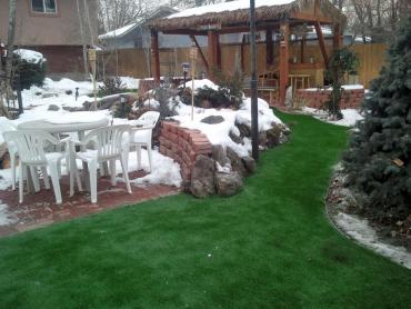 Artificial Grass Photos: Fake Lawn Union City, California Rooftop, Backyard Makeover