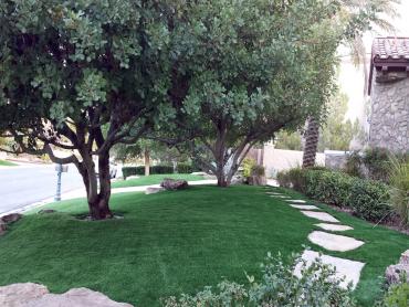 Artificial Grass Photos: Fake Lawn Woodbridge, California Lawns, Front Yard