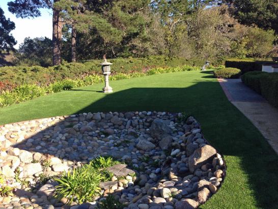 Artificial Grass Photos: Fake Turf Buena Vista, California Landscape Design, Small Backyard Ideas