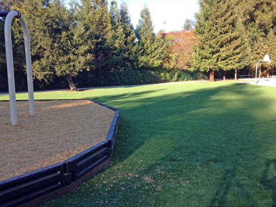 Artificial Grass Photos: Fake Turf Colma, California Playground Flooring, Recreational Areas