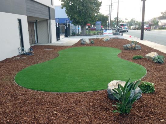 Artificial Grass Photos: Fake Turf Diablo, California Backyard Playground, Commercial Landscape