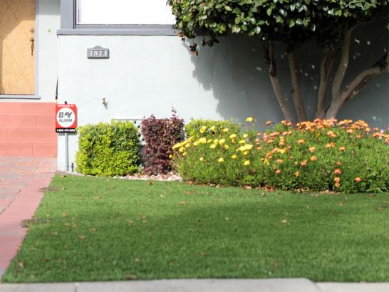 Artificial Grass Photos: Fake Turf Discovery Bay, California Lawns, Front Yard Design