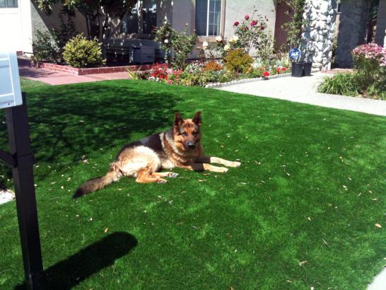 Artificial Grass Photos: Fake Turf East Foothills, California Landscaping, Front Yard Ideas