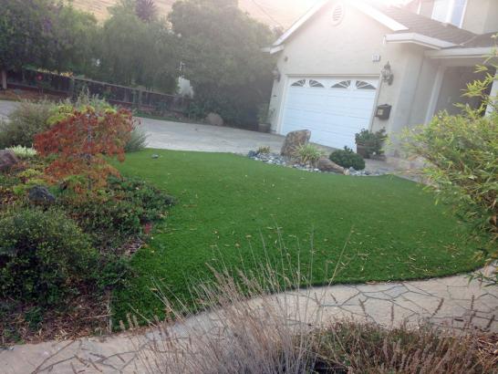 Artificial Grass Photos: Fake Turf Highlands-Baywood Park, California Roof Top, Front Yard Landscaping