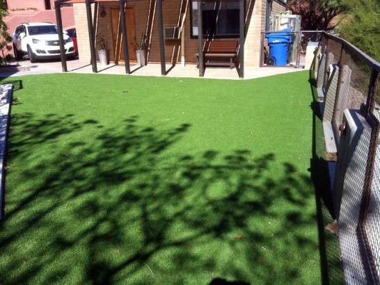 Artificial Grass Photos: Fake Turf Lagunitas-Forest Knolls, California Landscape Ideas, Backyard Design