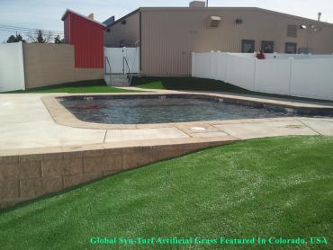 Fake Turf Lexington Hills, California Backyard Playground, Backyard Pool artificial grass