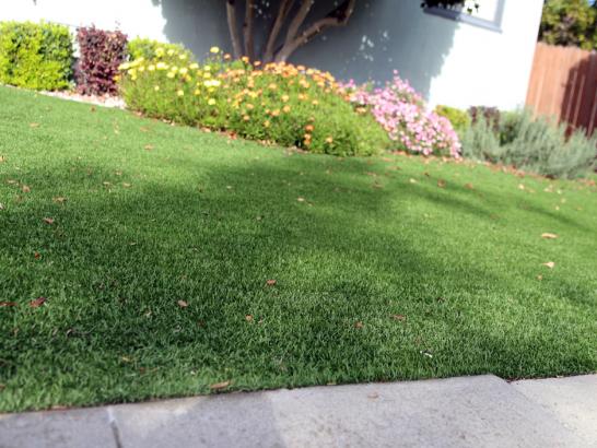 Artificial Grass Photos: Fake Turf Orinda, California Rooftop, Front Yard Landscaping Ideas