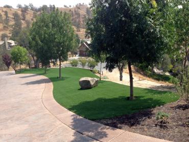 Artificial Grass Photos: Fake Turf Richmond, California Landscape Ideas, Front Yard Design