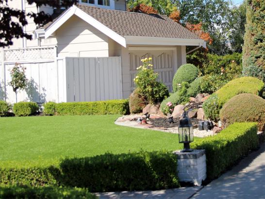 Artificial Grass Photos: Fake Turf San Rafael, California, Front Yard Ideas