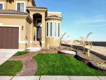 Artificial Grass Photos: Fake Turf Soquel, California Landscape Design, Front Yard Landscaping