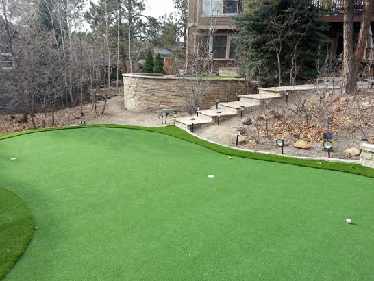 Artificial Grass Photos: Fake Turf Stockton, California Garden Ideas, Backyard Landscape Ideas