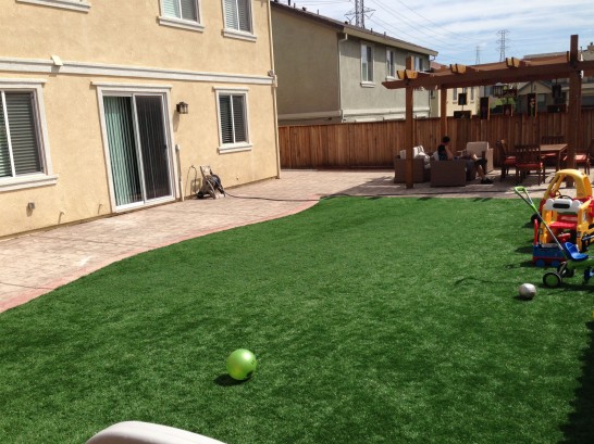 Artificial Grass Photos: Fake Turf Tomales, California Landscaping, Backyard Design