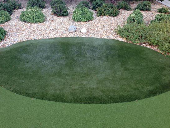 Artificial Grass Photos: Fake Turf Wheatland, California Backyard Playground