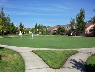 Artificial Grass Photos: Faux Grass Bodega, California Landscape Design, Commercial Landscape