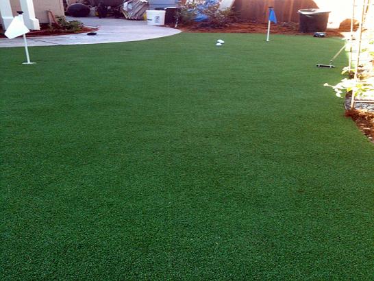 Artificial Grass Photos: Faux Grass Bonny Doon, California Best Indoor Putting Green, Backyard Landscaping Ideas