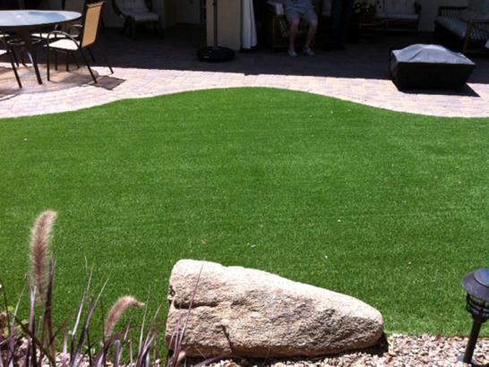 Artificial Grass Photos: Faux Grass Coloma, California Artificial Turf For Dogs, Backyard Design