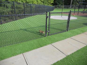 Artificial Grass Photos: Faux Grass Country Club, California Landscape Design, Parks