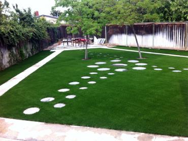 Faux Grass Emeryville, California City Landscape, Small Backyard Ideas artificial grass