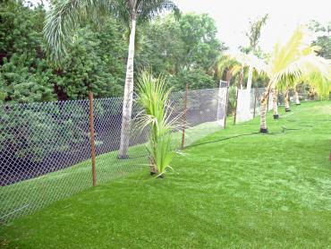 Artificial Grass Photos: Faux Grass Fairfield, California Lawns, Backyard Design