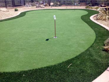 Artificial Grass Photos: Faux Grass Folsom, California Putting Green Grass, Backyard Garden Ideas