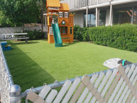 Artificial Grass Photos: Faux Grass Hickman, California Rooftop, Backyard Makeover