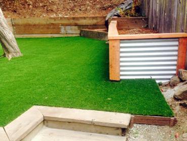 Artificial Grass Photos: Faux Grass King City, California Landscape Rock, Backyards