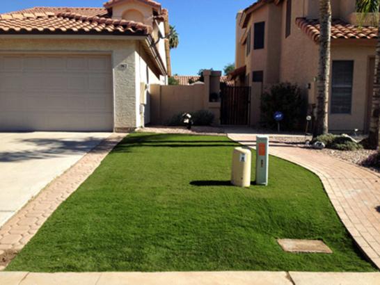 Artificial Grass Photos: Faux Grass Larkspur, California Landscape Photos, Front Yard