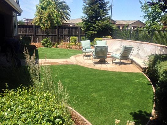 Artificial Grass Photos: Faux Grass Loma Mar, California Home And Garden, Beautiful Backyards