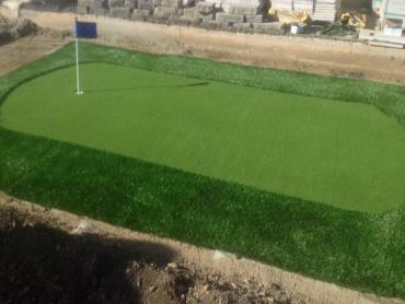 Artificial Grass Photos: Faux Grass Mariposa, California Putting Green Turf, Backyard Makeover