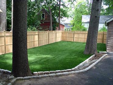 Artificial Grass Photos: Faux Grass Planada, California Indoor Dog Park, Small Backyard Ideas