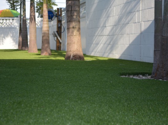 Artificial Grass Photos: Faux Grass Rancho Calaveras, California Roof Top, Commercial Landscape