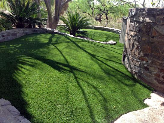 Artificial Grass Photos: Faux Grass Rio Oso, California Grass For Dogs