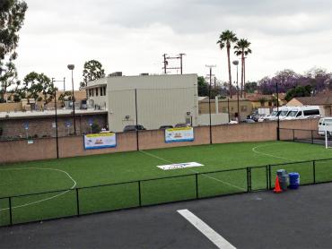 Artificial Grass Photos: Faux Grass Seacliff, California Sports Athority, Commercial Landscape