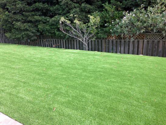 Artificial Grass Photos: Faux Grass Trowbridge, California Home And Garden, Backyard Landscaping