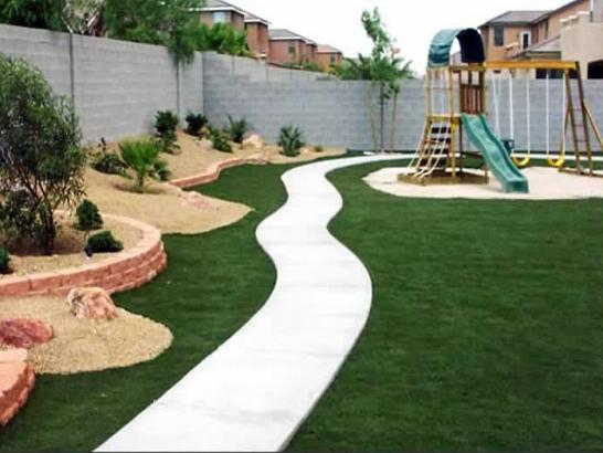 Artificial Grass Photos: Grass Carpet Blackhawk, California Garden Ideas, Backyard Designs