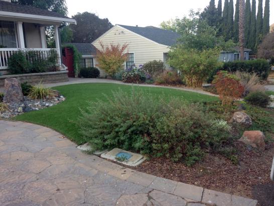 Artificial Grass Photos: Grass Carpet Boulder Creek, California Landscaping Business, Front Yard Design