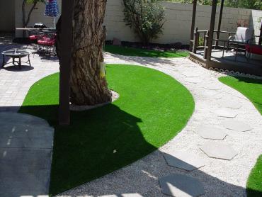 Artificial Grass Photos: Grass Carpet Empire, California Lawns, Backyard Designs