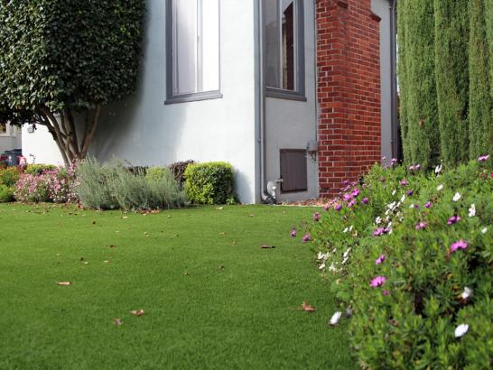 Artificial Grass Photos: Grass Carpet Fetters Hot Springs-Agua Caliente, California Paver Patio, Landscaping Ideas For Front Yard